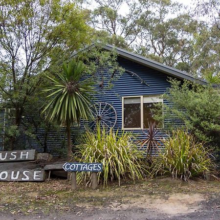Lorne Bush House Cottages & Eco Retreats Екстер'єр фото